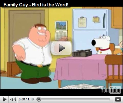 The Not-So-Quiet One: Family Guy Entertaining Videos